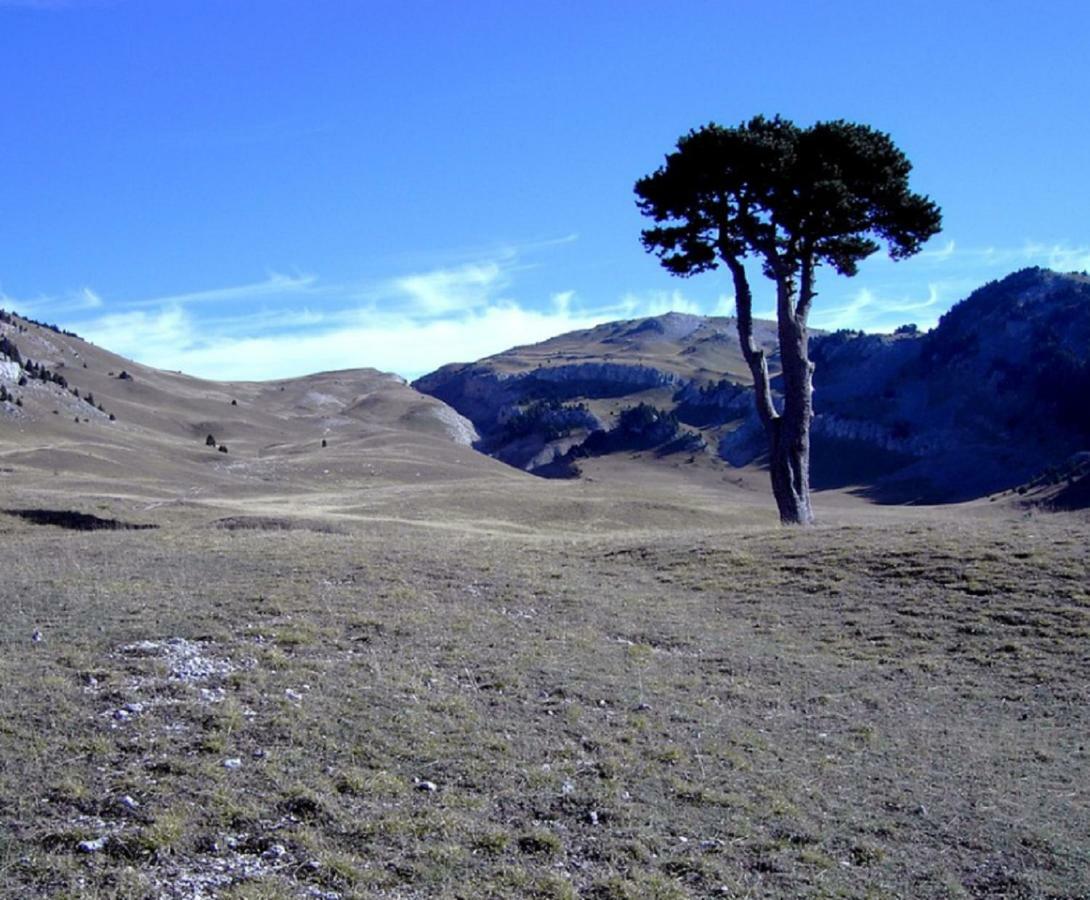 Okami Du Vercors Saint-Laurent-en-Royans Екстер'єр фото